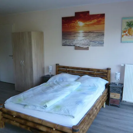 Buntevillamuenster 3*