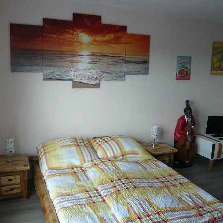 Buntevillamuenster Otel Munster (North Rhine-Westphalia)